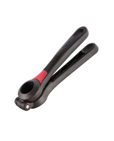 Presse-ail Ingenio Tefal