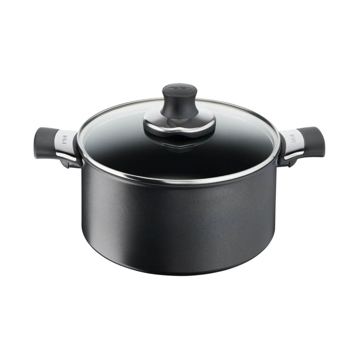 Faitout avec couvercle 24cm Excellence Tefal
