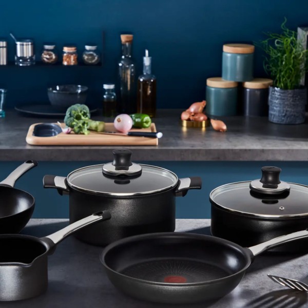 Faitout avec couvercle 24cm Excellence Tefal