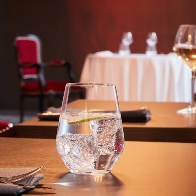 Verre forme haute 40cl Vinetis