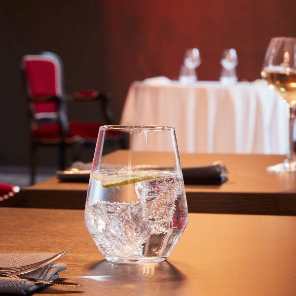 Verre forme haute 40cl Vinetis Luminarc