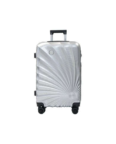 Valise taille cabine 41x60x25cm silver en polycarbonate DANIEL HECHTER