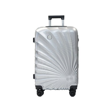 Valise taille cabine 41x60x25cm silver en polycarbonate DANIEL HECHTER