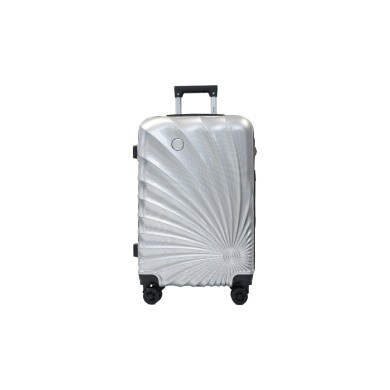 Valise taille cabine 34x48x21cm silver en polycarbonate DANIEL HECHTER