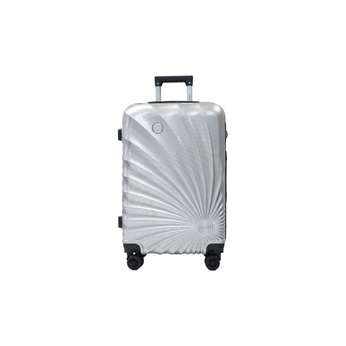 Valise taille cabine 34x48x21cm silver en polycarbonate DANIEL HECHTER