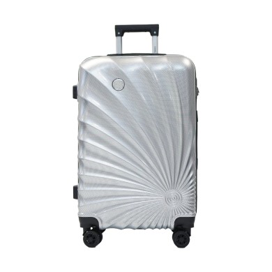 Valise taille cabine 48x70x29cm silver en polycarbonate DANIEL HECHTER
