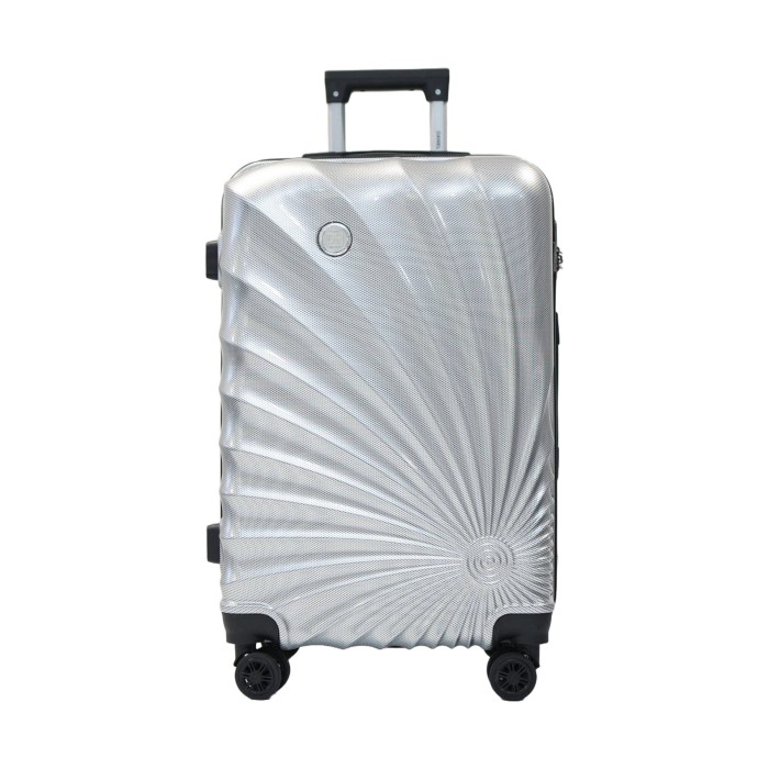 Valise taille cabine 48x70x29cm silver en polycarbonate DANIEL HECHTER