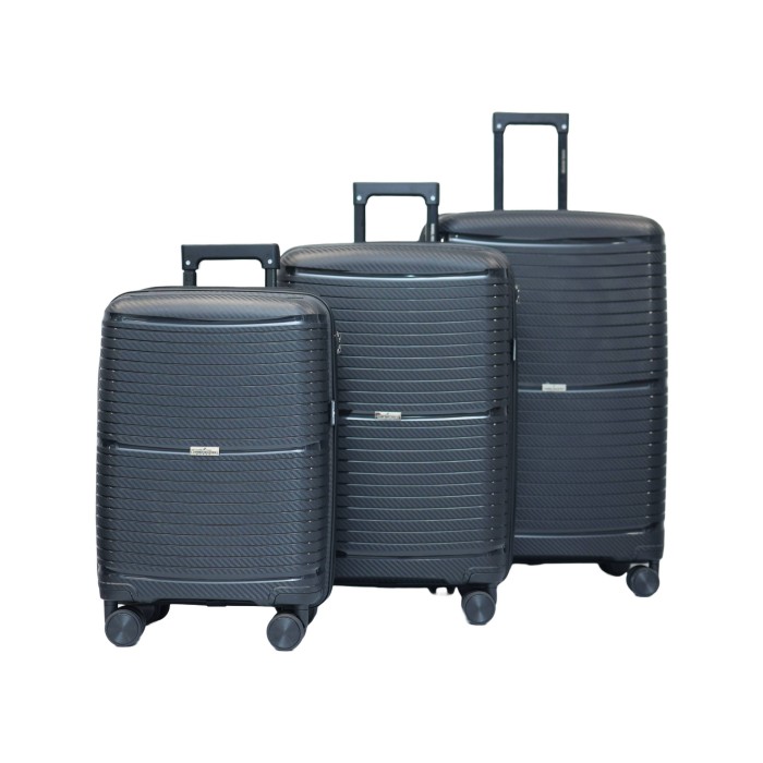 Set de 3 valises 36, 66 et 102L black Monaco DANIEL HECHTER