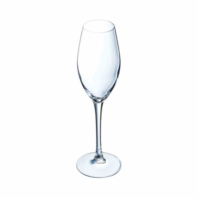Flûte à champagne 24cl Wine Emotions