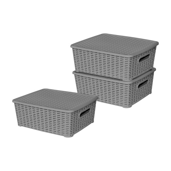 Lot de 3 boites de rangement grises Store Box MM Sotufab Plast