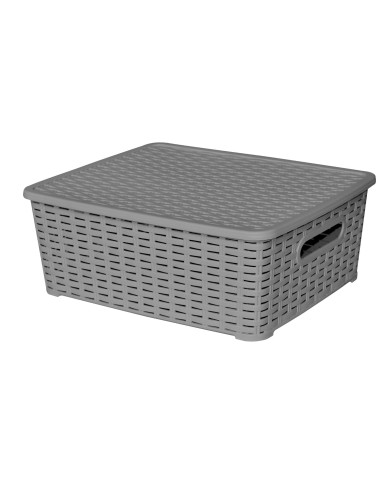 Lot de 3 boites de rangement grises Store Box MM Sotufab Plast