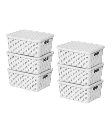 Lot de 6 boites de rangement blanches Store Box PM Sotufab Plast