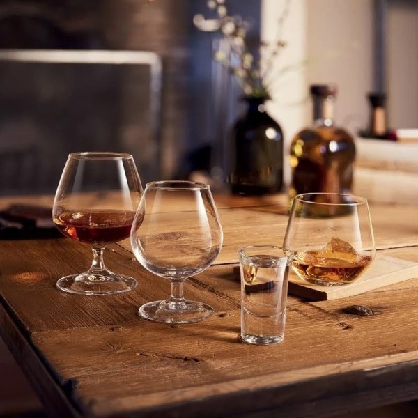 Verre à pied 25cl Tasting Time Spirit Luminarc