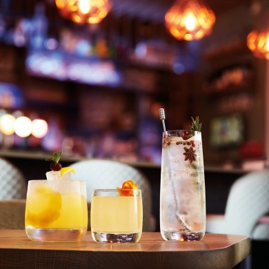 Verre forme haute 45cl Vigne