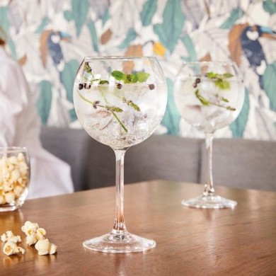 Verre à pied 58cl Vina Ballon Arcoroc