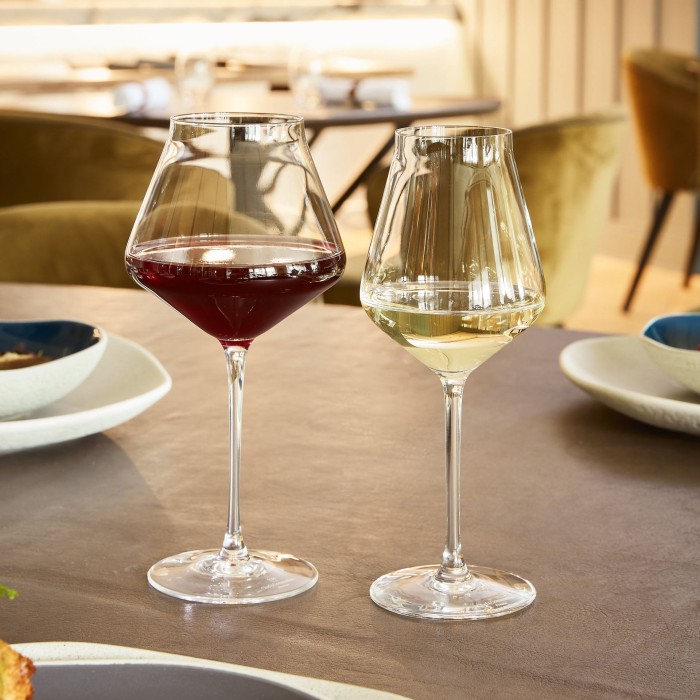 Verre à pied 55cl Reveal'Up Intense Chef&Sommelier