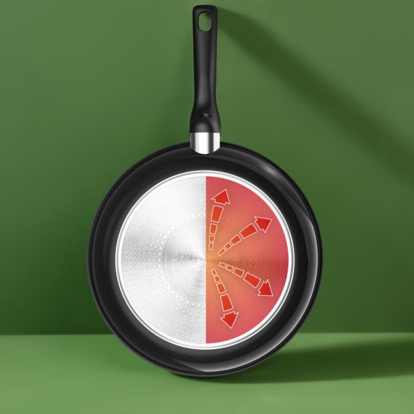 Poêle 24cm Renew Black Tefal