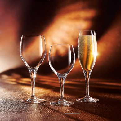 Verre à pied 20cl Sensation Exalt