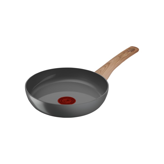 Poêle 20cm Renew Tefal