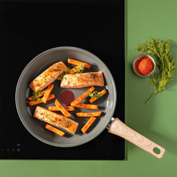 Poêle 20cm Renew Tefal
