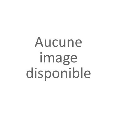 Assiette de présentation 20x13cm Peixe